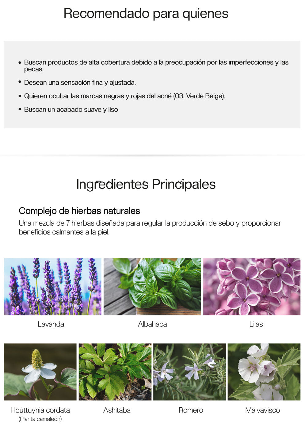 Saemmul Airy Cotton Foundation